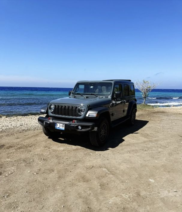 Jeep Wrangler  met elektrisch Sunroof