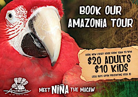 Amazonia Tour Curacao